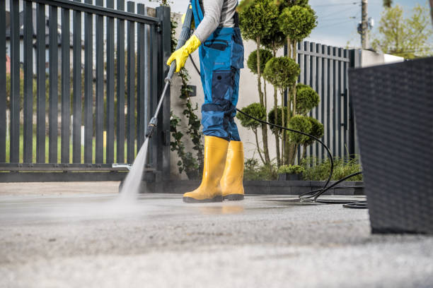 Best Dumpster Area Cleaning  in Tawas City, MI