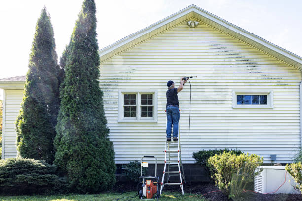 Best Roof Washing  in Tawas City, MI